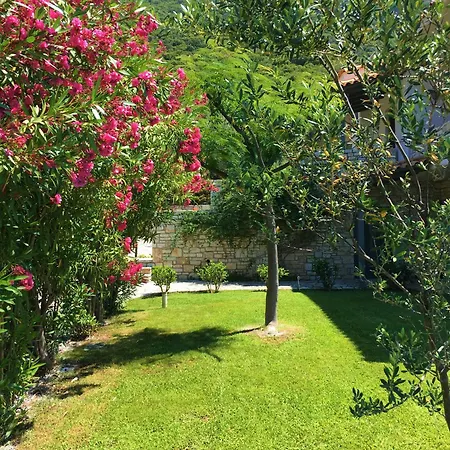 Jasmine Villa *